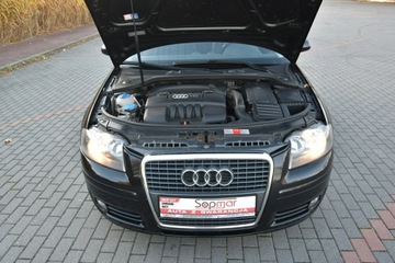 Audi A3 8P Hatchback 3d 1.6 102KM 2008 Audi A3 1.6MPi 102KM Manual 2008r. lift Climatroni, zdjęcie 23