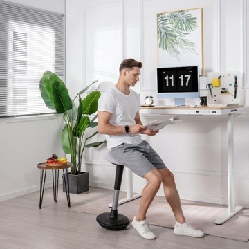 FLEXISPOT Рабочий табурет (Серый)