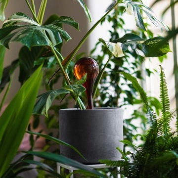 Kule nawadniające 400ml 4szt bursztynowe przezroczyste do roślin doniczki