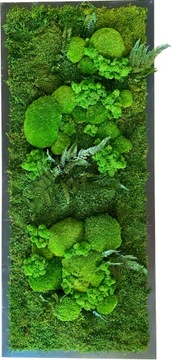 Panel obraz z mchu na wymiar mech chrobotek 10cm2