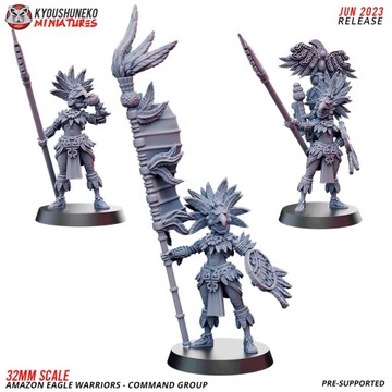 Amazon Eagle Warrior Command Group x3 Kyoushuneko