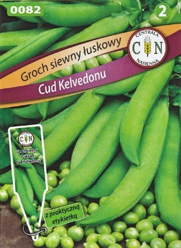 GROCH Cud Kelvedonu wczesny nasiona ciemnozielone b.dobre mocny plenny 40g