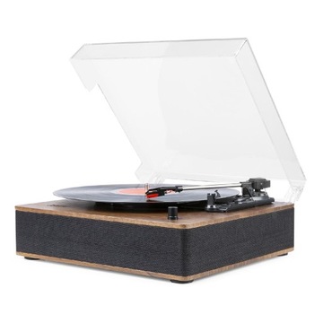 RP161 Проигрыватель проигрывателей FENTON (P)