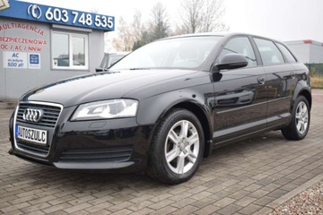 Audi A3 8P Hatchback 3d 1.6 TDI 105KM 2009 Audi A3 8P 1.6 TDI, Czarny, 5-drzwi, Model : 2..., zdjęcie 4