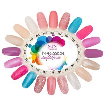 NTN Premium Lakier Hybrydowy 5 ml - Impression Collection Nr 262