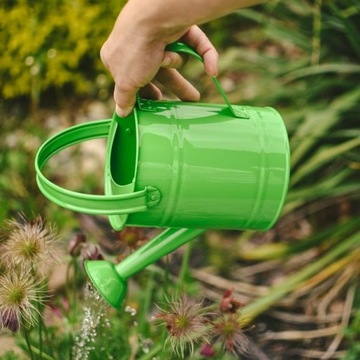 Зеленая металлическая лейка