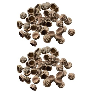 200Pcs Natural Acorns Caps Decorative for Craft