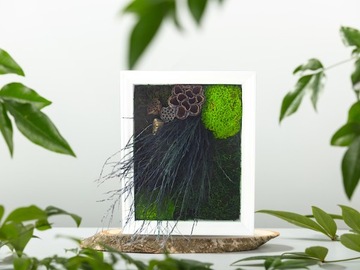 МОХОВАЯ КАРТИНА мох хроботек плоский мох северный олень в деревянной рамке 23х28