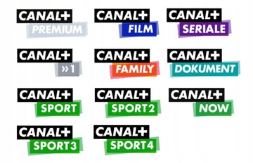 Модуль CI+ Пакет предоплаты EXTRA CANAL+ 1 месяц Карта Cayman CAID 1884 ECP
