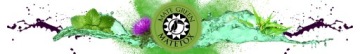 Yerba Mate Green MATETOX Herbal Power Energy 1 кг Расторопша расторопша медовая 1000 г