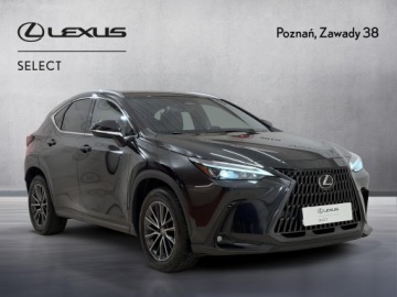 Lexus NX II SUV Facelifting 2.5 450h+ 309KM 2023 Lexus NX 450h+ Prestige AWD II (2021-) Lexus NX 45, zdjęcie 7