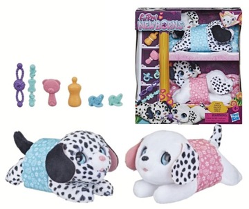 FURREAL NEWBORNS TWINS Interaktywne PIESKI Szczeniaki Akcesoria HASBRO real