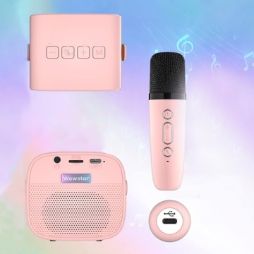 Bluetooth-колонка для караоке с 2 беспроводными микрофонами и эффектом изменения голоса