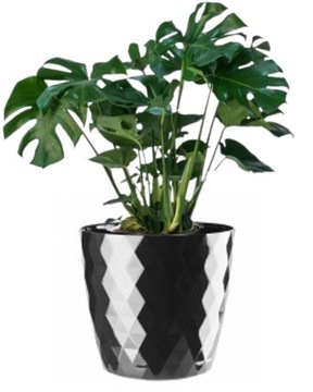 DONICZKA CRISTAL 20 CM CZARNA OSŁONKA PLASTIKOWA