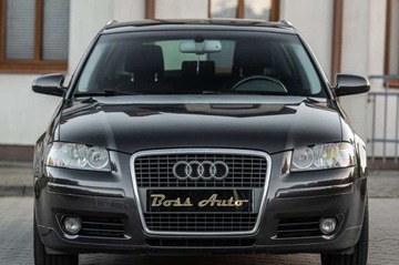 Audi A3 8P Hatchback 3d 2.0 TDI PD 140KM 2008 Audi A3 2.0TDI 140KM Alu Serwis Gwarancjia, zdjęcie 29