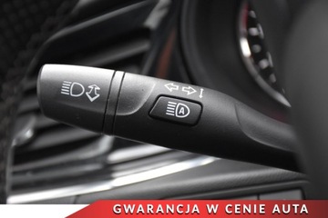 Opel Insignia I Sports Tourer Facelifting 2.0 CDTI Ecotec 170KM 2017 Opel Insignia OPCHead UPNaviKamera 360Full LedEl.KlapaSkoraAGRAsystenty, zdjęcie 19