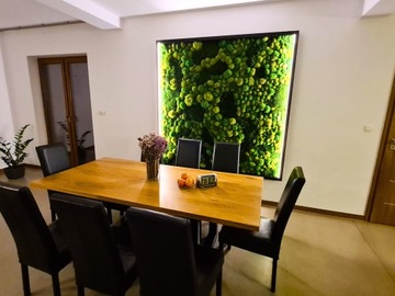 Mech Chrobotek NORWESKI zielony 500g reniferowy jakość PREMIUM żywy OZDOBNY