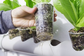 Агро Перлит биовита Натуральная добавка для рыхления почвы 2-6мм 1л