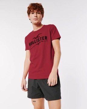 t-shirt męski HOLLISTER by Abercrombie logo M