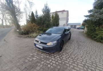 Volkswagen Golf VII Hatchback 3d 1.6 TDI-CR DPF 105KM 2013 Volkswagen Golf Volkswagen Golf 1.6 TDI BlueMotion Technology DSG Comfortl