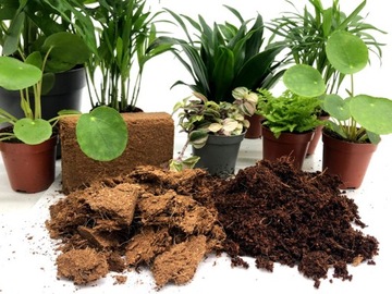 Чипсы Чипсы Кокосовое волокно COCO 10мм 5л Субстрат Biovita