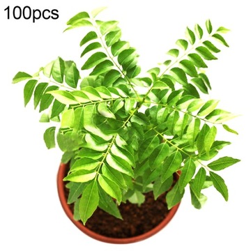 Nasiona Curry Seeds 5 g