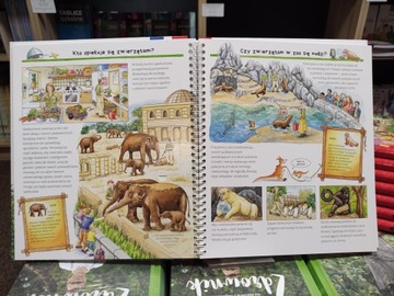 МЫ ПОСЕЩАЕМ ЗООПАРК Почему когда как? с окнами НОВЫЙ