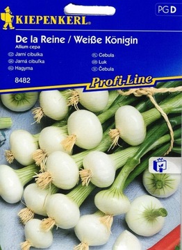 Cebula De la Reine ,,Weiße Königin ''– Kiepenkerl