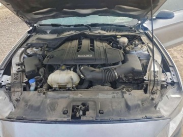 Ford Mustang VI Fastback Facelifting 5.0 Ti-VCT 450KM 2021 Ford Mustang GT 2021 5.0L 5.0 Benzyna 450KM, zdjęcie 6