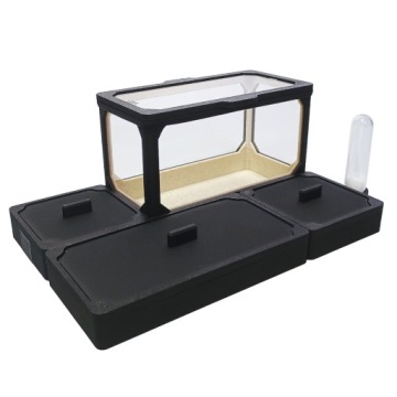 Средний Formicarium L - террариум для модульных муравьев 210x140