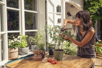 Ножницы для трав и овощей FreshCut Gardena 12212-20