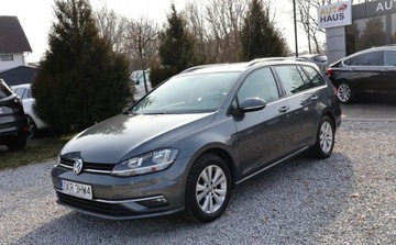 Volkswagen Golf VII Hatchback 5d Facelifting 1.6 TDI-CR DPF BMT 115KM 2020