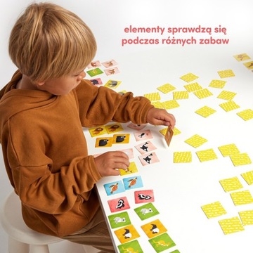 Zwierzęta świata Memory CzuCzu