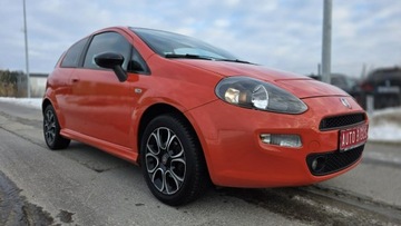 Fiat Punto Punto 2012 Hatchback 3d 1.4 8v 77KM 2014 Fiat Punto 1,4 78 KM.wersja sporting. czarny sufit, zdjęcie 2