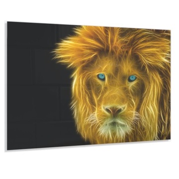 Szkło Hartowane Ochronne 80x60cm Gratis