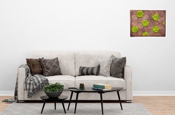 МОСС ХРОБОТЕК ПРЕМИУМ КАРТИННЫЕ ПАНЕЛИ 44x33 подарок