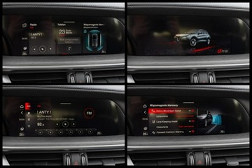 Alfa Romeo Stelvio SUV Facelifting 2.0 Turbo 200KM 2021 Alfa Romeo Stelvio WD4400S#2.0 Turbo TI Q4, zdjęcie 19