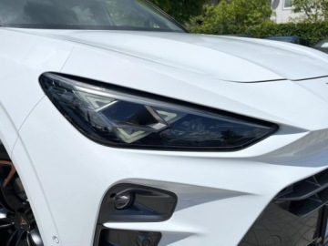 Cupra Terramar SUV 2.0 TSI 204KM 2026 CUPRA Terramar 2.0 TSI DSG 4Drive Suv 204KM 2026, zdjęcie 13