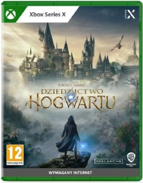 DZIEDZICTWO HOGWARTU HOGWART LEGACY PL SERIES X