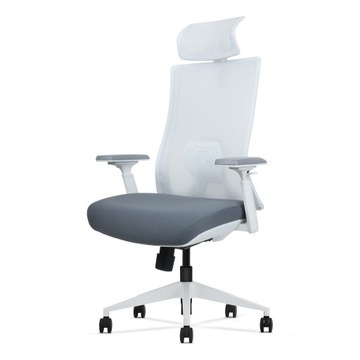 HDeye SK9 Ergonomiczne krzesło z głębokością i wysokością białą
