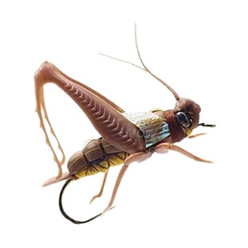 Искусственная коричневая рыбалка приманка