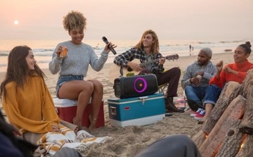Беспроводной микрофон JBL, 2 шт (JBL WIRELESS MIC) Черный