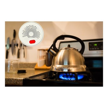 Детектор детектора датчика природного газа Propane Butan Tuya Wi -Fi