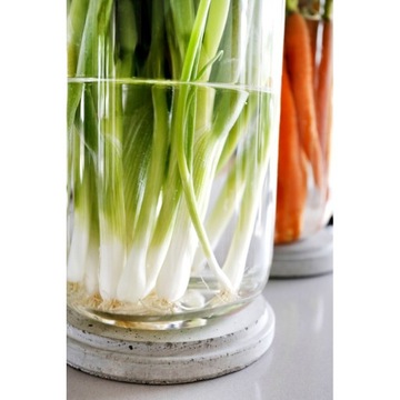 СТЕКЛЯННЫЙ АППАРАТ НА БЕТОННОМ ОСНОВАНИИ ваза Ø15,2x40см