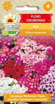 Floks Drummonda mix nasiona 0,5g
