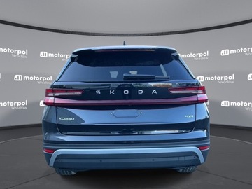 Skoda Kodiaq II 2025 Skoda Kodiaq Edition 130 2.0 TSI 204 KM DSG, zdjęcie 8