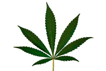 КОМФОРТНАЯ ОЗДОРОВИТЕЛЬНАЯ МАСКА WELLPLEX СПРЕЙ 250 мл