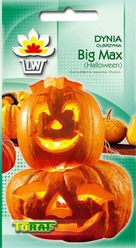 DYNIA BIG MAX do 20kg pomarańczowa