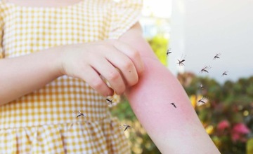 DETTER KIDS TICK AND MOSQUITO ПОВТОР ДЛЯ ДЕТЕЙ