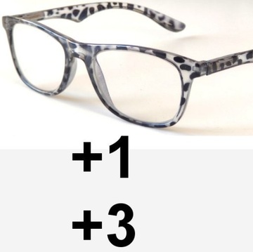 OKULARY dwuogniskowe DAL: +1, BLIŻ: +3